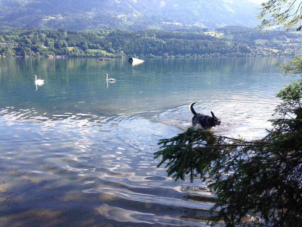 Ruhige Wohnung Mit Schoenem Eigengarten In Seeboden Am Millstaettersee Kamer foto