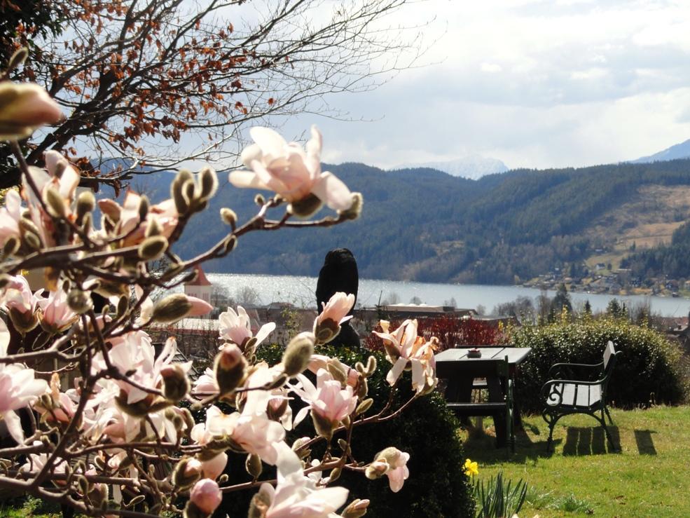 Ruhige Wohnung Mit Schoenem Eigengarten In Seeboden Am Millstaettersee Buitenkant foto