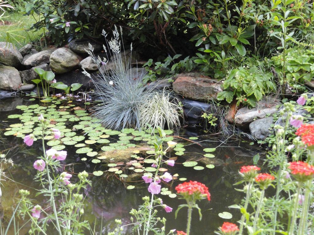 Ruhige Wohnung Mit Schoenem Eigengarten In Seeboden Am Millstaettersee Buitenkant foto